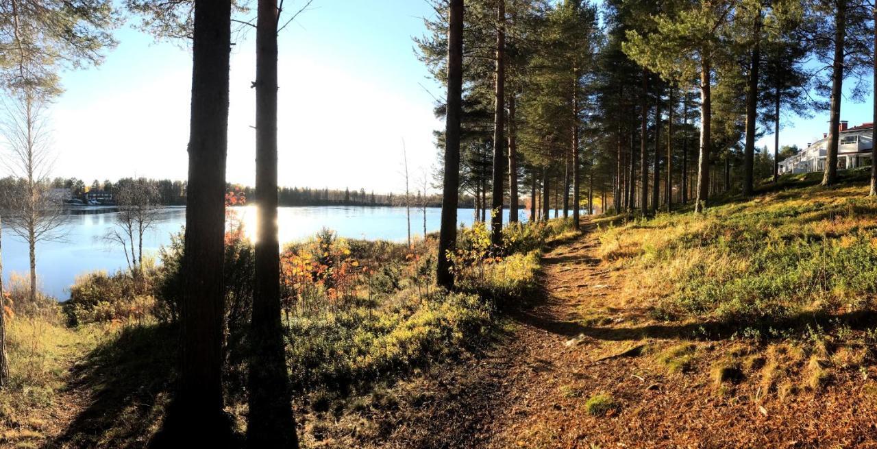 Arctic Sofia Riverstudio Rovaniemi Kültér fotó