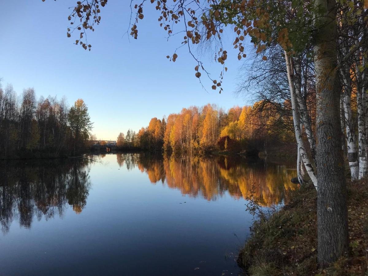 Arctic Sofia Riverstudio Rovaniemi Kültér fotó