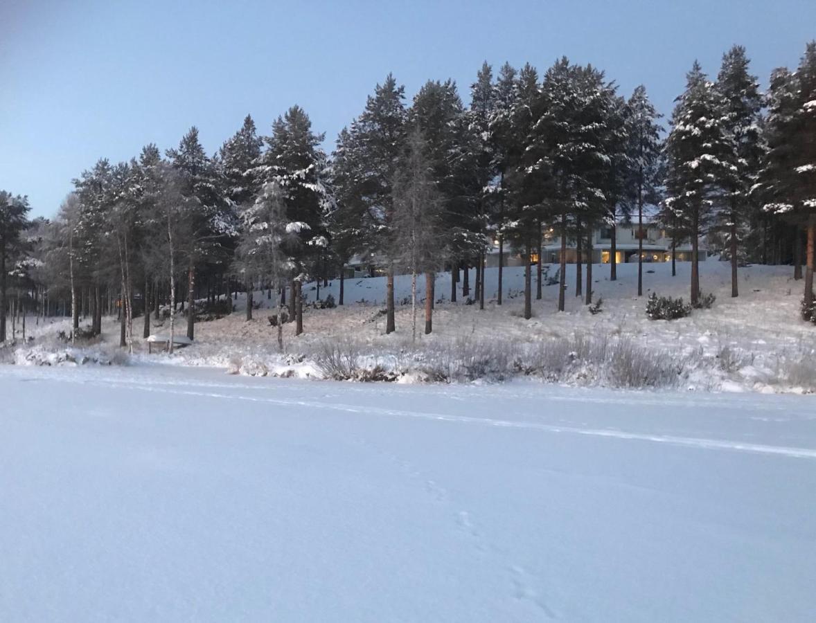 Arctic Sofia Riverstudio Rovaniemi Kültér fotó